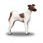 Smooth Fox Terrier