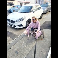 French Bulldog - Both