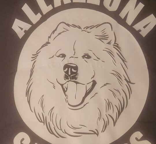 Samoyed