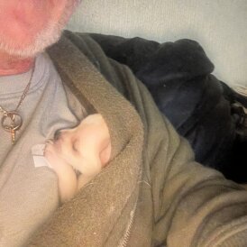 Chihuahua - Both