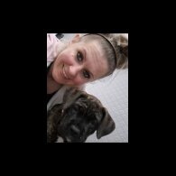 Cane Corso - Both