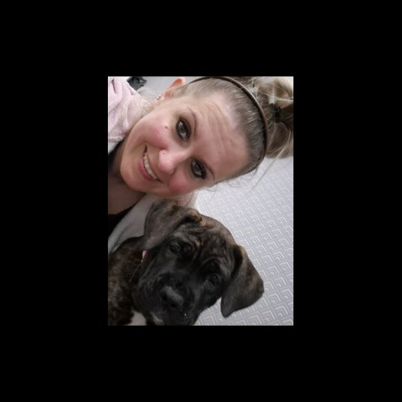 Cane Corso - Both