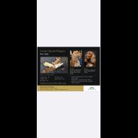 Cocker Spaniel (Working &amp; Show) - Dogs