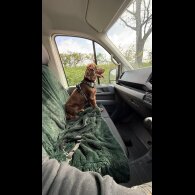 Cocker Spaniel (Working &amp; Show)