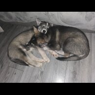 Utonagan - Both