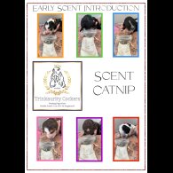 Cocker Spaniel (Working &amp; Show) - Both