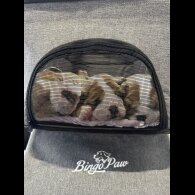 English Bulldog - Both