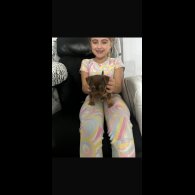 Jack Russell - Both
