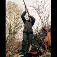 Hungarian Vizsla - Both