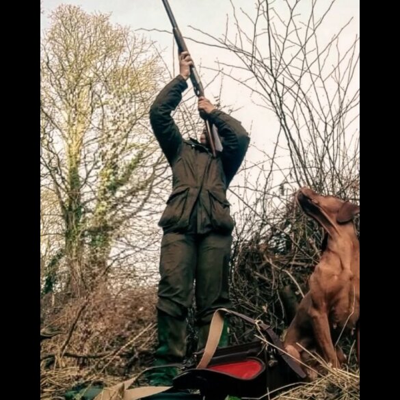 Hungarian Vizsla - Both