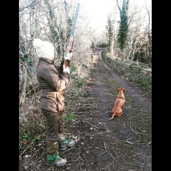 Hungarian Vizsla - Both