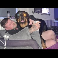 Rottweiler - Both