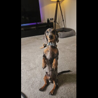 Dachshund (Standard &amp; Miniature)