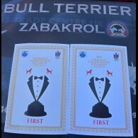 Bull Terrier