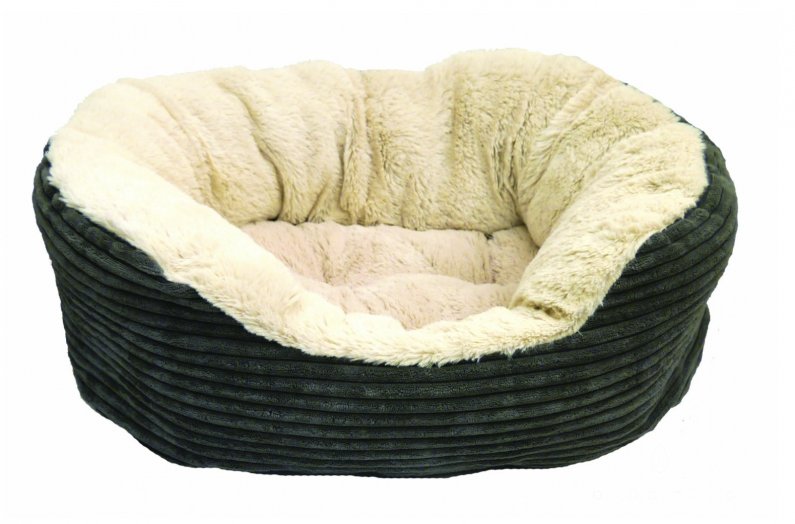 Puppy Beds