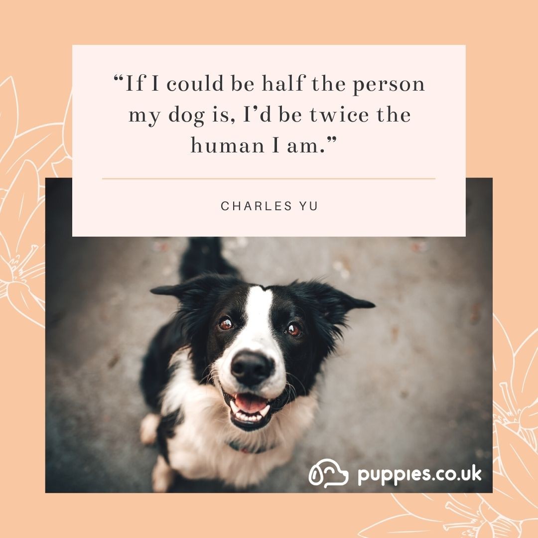 Inspirational Dog Quote 1