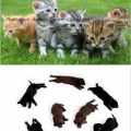 Seller Peddymark Animal Tracker