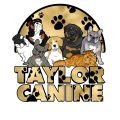 Rebecca Taylor