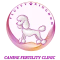 Seller Fluffy Kingdom