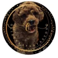 OlibenkafantasyDog