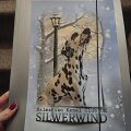 SILWERWIND