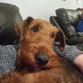 Seller Martin Lockett