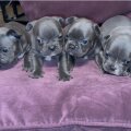 Seller Cerie McClure