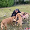 Seller NICK MALLEN