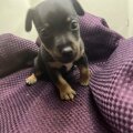 Seller Clare